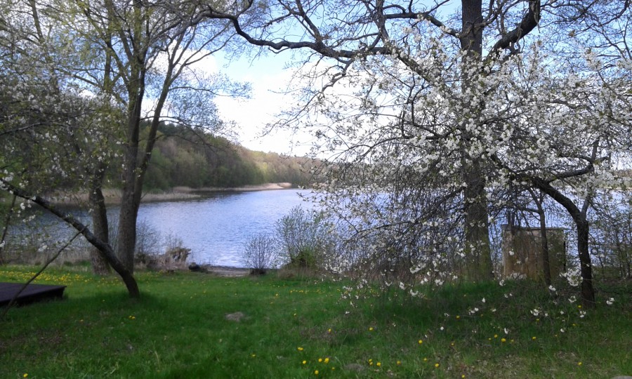Dawny sad i widok na jezioro wiosną