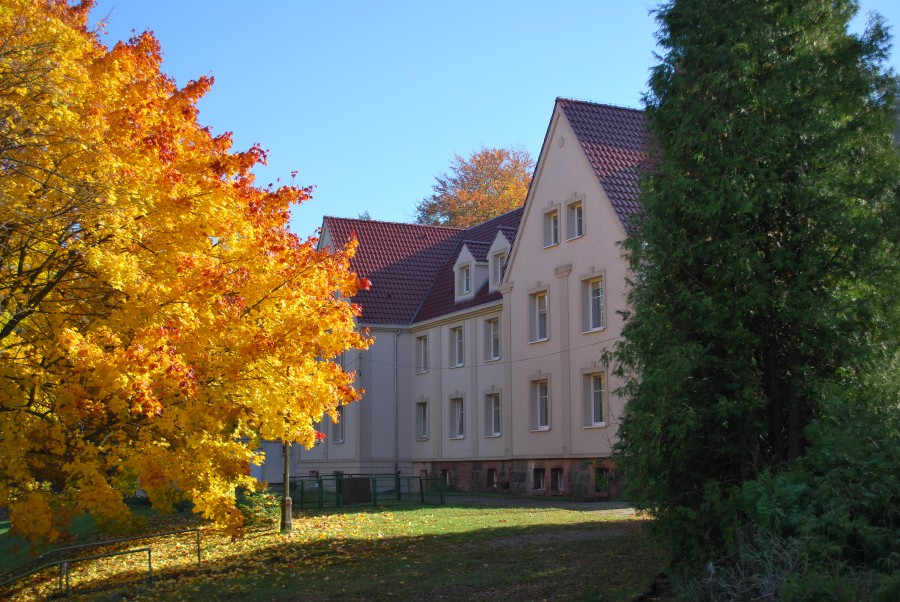 Pałac jesienią